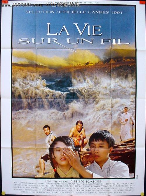 办理夏威夷驾照